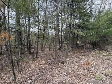 6.78 wooded acres in Lebanon which could be subdivided into 2-3 - photo 6