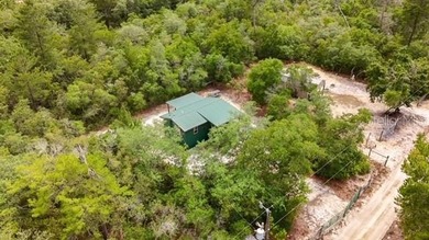 Seeking an Ocala National Forest cabin with all the creature - photo 17