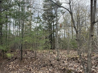 6.78 wooded acres in Lebanon which could be subdivided into 2-3 - photo 7