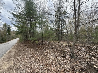 6.78 wooded acres in Lebanon which could be subdivided into 2-3 - photo 8