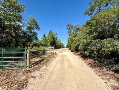 Seeking an Ocala National Forest cabin with all the creature - photo 19