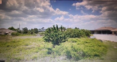 Lehigh Acres Area Lot For Sale in Lehigh Acres Florida