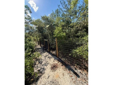Seeking an Ocala National Forest cabin with all the creature - photo 21