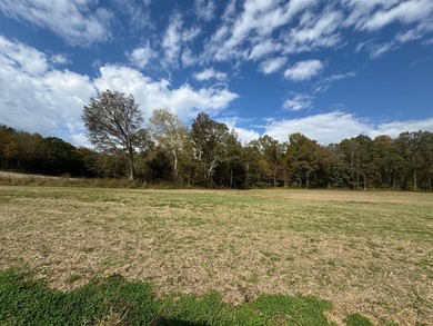 208.48 Surveyed acres of paradise best describe this beautiful - photo 45
