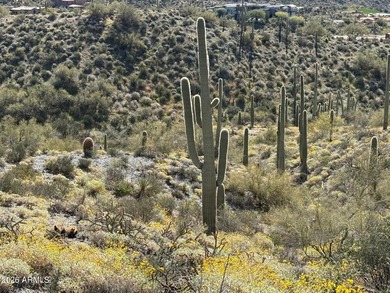This 6-acre parcel is one of a select few premier lots remaining - photo 8