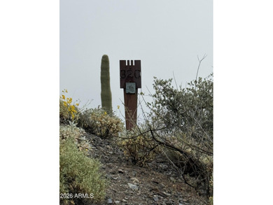 This 6-acre parcel is one of a select few premier lots remaining - photo 9