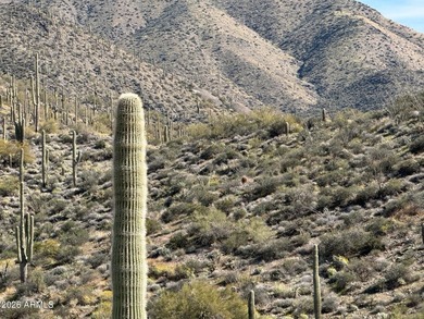 This 6-acre parcel is one of a select few premier lots remaining - photo 10