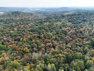 208.48 Surveyed acres of paradise best describe this beautiful - photo 52