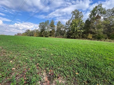 208.48 Surveyed acres of paradise best describe this beautiful - photo 55