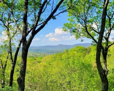 Lake Home For Sale in Jasper, Georgia