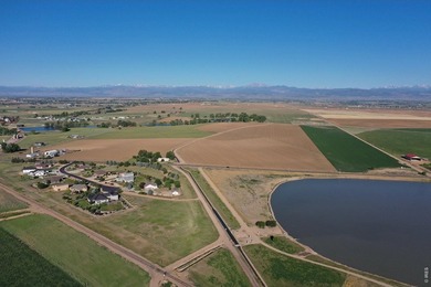 Exceptional 311-acre irrigated farm with excellent water rights - photo 1