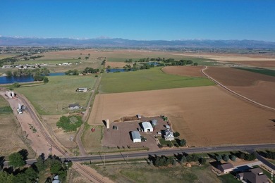 Exceptional 311-acre irrigated farm with excellent water rights - photo 2