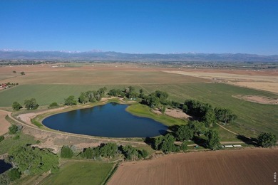 Exceptional 311-acre irrigated farm with excellent water rights - photo 3