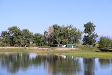 Exceptional 311-acre irrigated farm with excellent water rights - photo 4