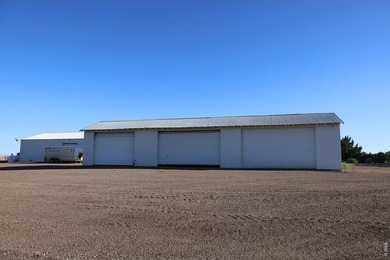 Exceptional 311-acre irrigated farm with excellent water rights - photo 6