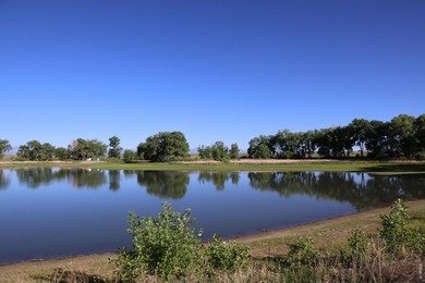 Exceptional 311-acre irrigated farm with excellent water rights - photo 9