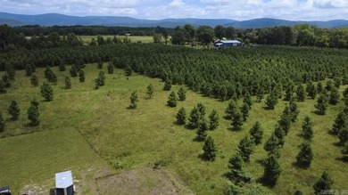 Build your dream home on this beautiful 3.03-acre property - photo 11