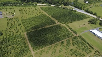 Build your dream home on this beautiful 3.03-acre property - photo 13