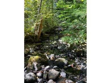 Lake Raponda Acreage For Sale in Wilmington Vermont