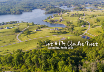 Perfect topography for level entry with lake & mtn views and - Lake Lot For Sale in Sharps Chapel, Tennessee