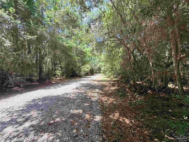 Welcome to this beautiful 3-bedroom 2-bath residence nestled in - photo 41