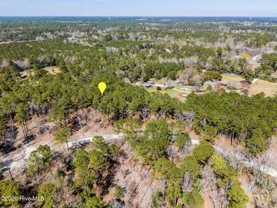 Build your dream home on this 2.78 acre lot in a country setting - photo 9