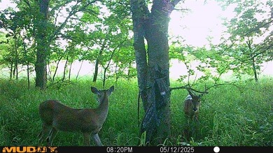 (private lake, pond, creek) Acreage For Sale in Bells Texas