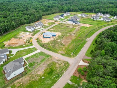 Welcome to The Highlands Phase 12! Build your own dream home on - photo 6