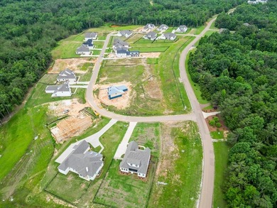 Welcome to The Highlands Phase 12! Build your own dream home on - photo 7