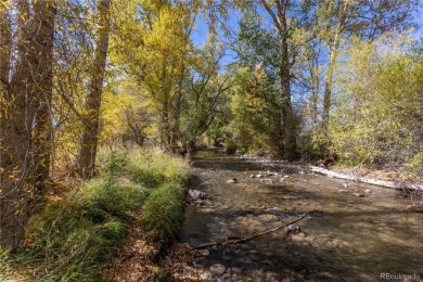 Arkansas River - Chaffee County Acreage For Sale in Salida Colorado