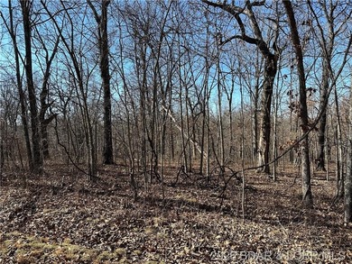 TWO SECLUDED ADJOINING TRACTS with 5.7 ACRES in the 12,800 Acre - photo 7