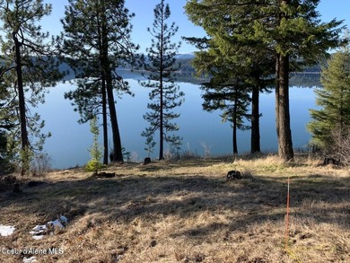 Waterfront Retreat: 14.55-acres of privacy on the shores of - photo 10