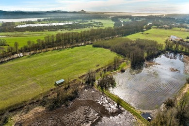 The Farm at Tide Creek A Premier Hunting & Rural Lifestyle - photo 11