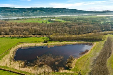 The Farm at Tide Creek A Premier Hunting & Rural Lifestyle - photo 12