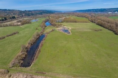 The Farm at Tide Creek A Premier Hunting & Rural Lifestyle - photo 15