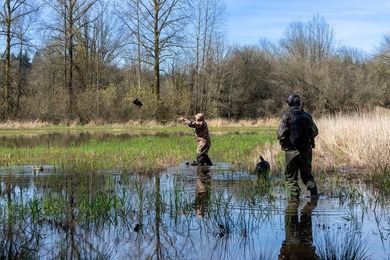 The Farm at Tide Creek A Premier Hunting & Rural Lifestyle - photo 16