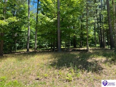 355 Marina Point Lane - Lake Lot For Sale in Falls Of Rough, Kentucky