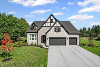 Lake Home For Sale in Avon, Indiana