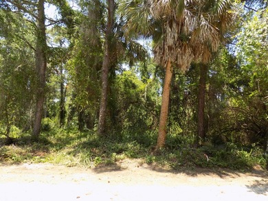 This prime .70 acre parcel is in an established neighborhood - photo 11