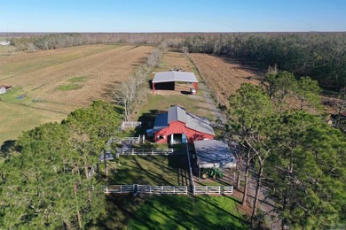 Over $80,000 UNDER last appraisal!! 30 acres of TREE-Mendous - photo 44