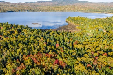 Here is a beautiful 2+ acre lot with 330 feet of frontage on - photo 2