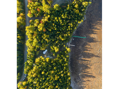 Here is a beautiful 2+ acre lot with 330 feet of frontage on - photo 6