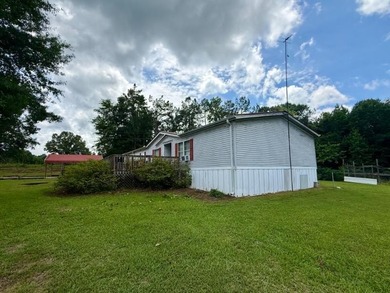 Enjoy the peace and privacy of rural living with this - photo 4