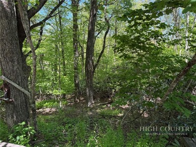Great opportunity to build your dream home in the sought-after - photo 2