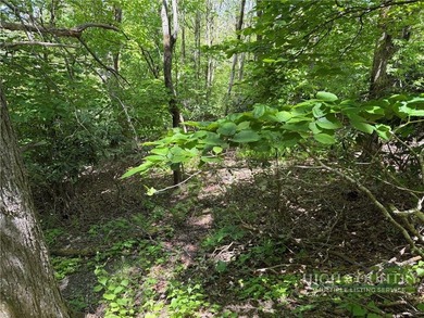 Great opportunity to build your dream home in the sought-after - photo 4