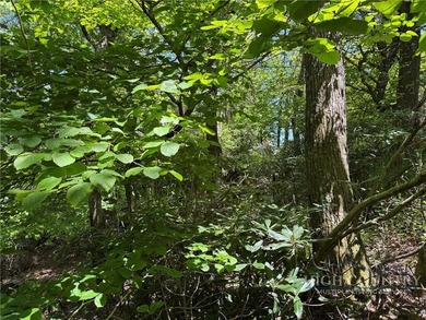 Great opportunity to build your dream home in the sought-after - photo 5