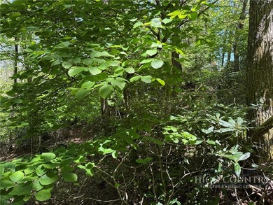 Great opportunity to build your dream home in the sought-after - photo 6