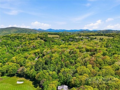 Great opportunity to build your dream home in the sought-after - photo 8