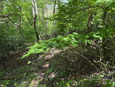 Great opportunity to build your dream home in the sought-after - photo 9