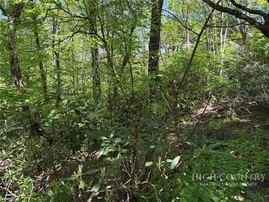 Great opportunity to build your dream home in the sought-after - photo 10